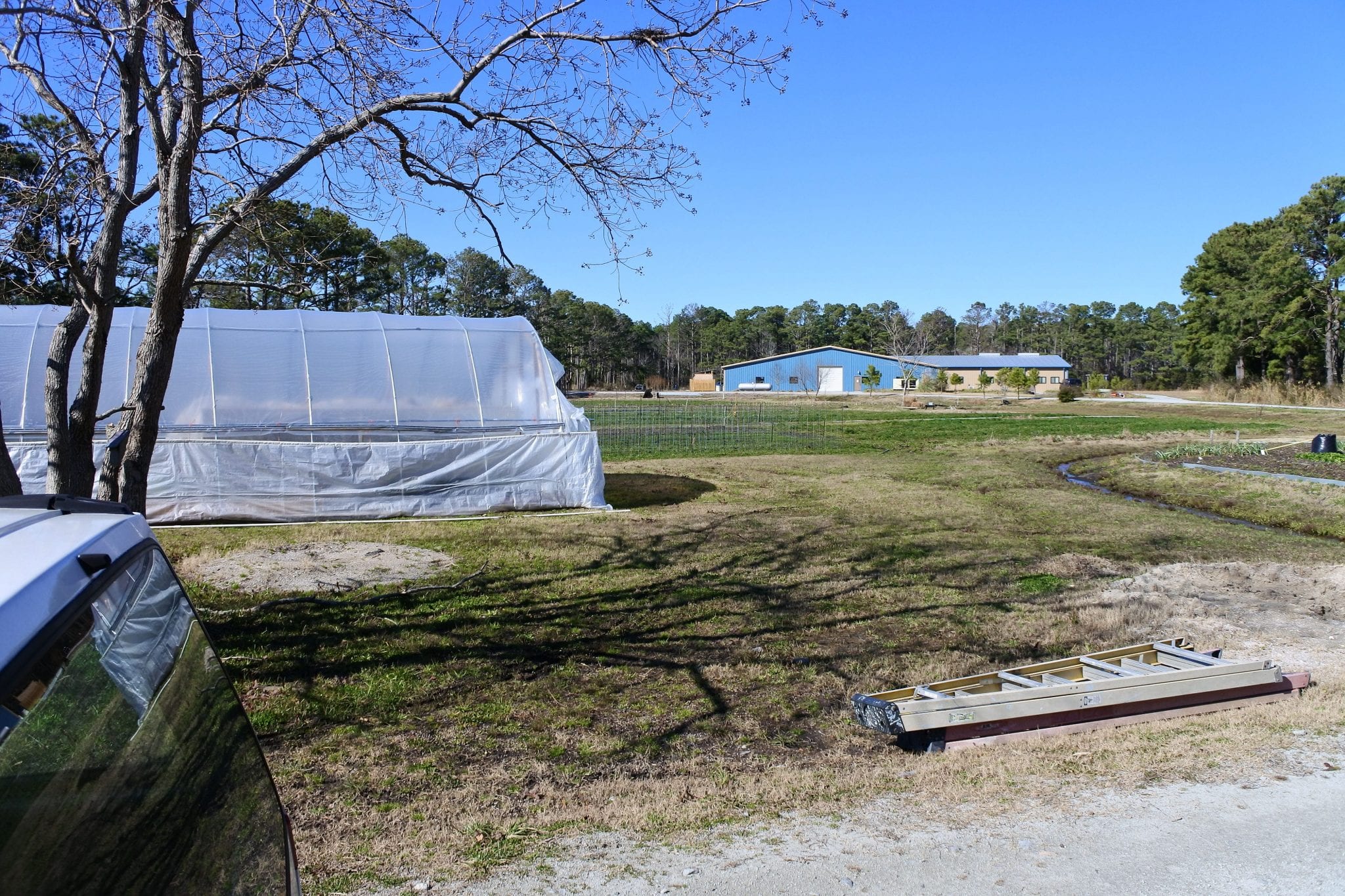 Potter Farm Stardust Startups